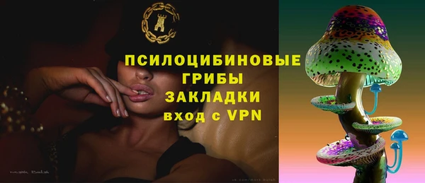 бошки Алексеевка