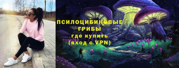 бошки Алексеевка