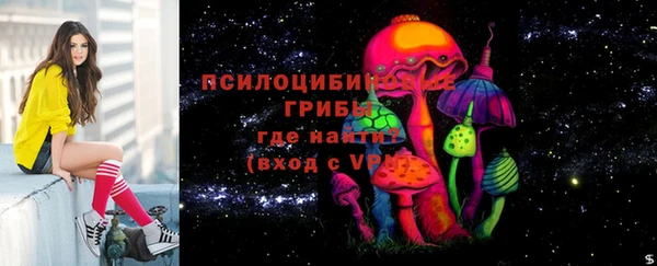 бошки Алексеевка
