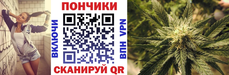 Канабис конопля  Чадан 